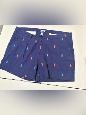Ash Navy Flat-Front Shorts with Red and Blue Embroidered Flip-Flops